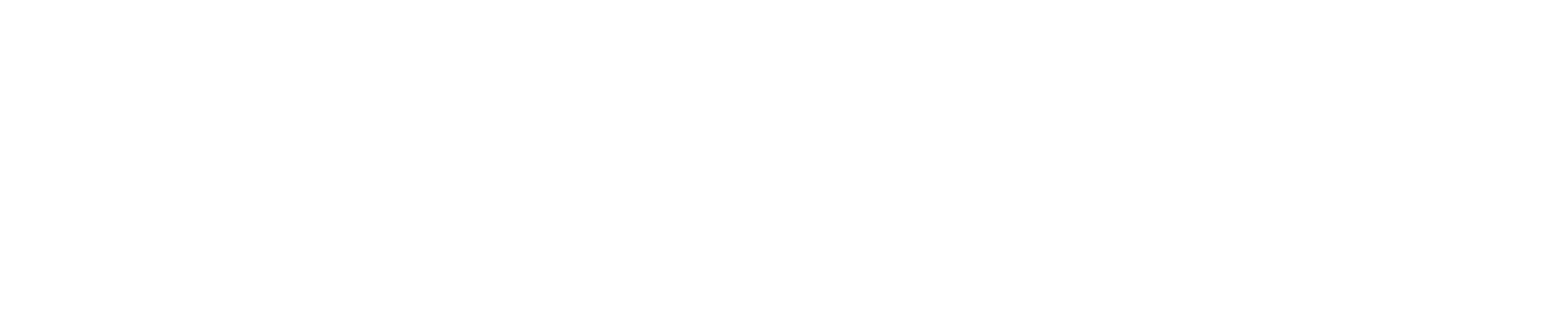 TV Vet